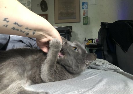 couldshouldwood nudes model img