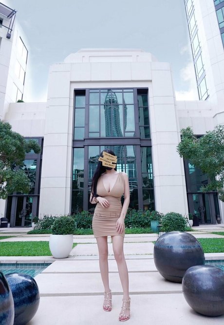 Npxvip erotic star photo