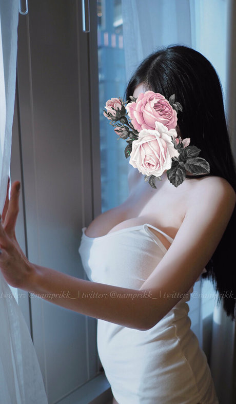 Npxvip perfect actress galleries