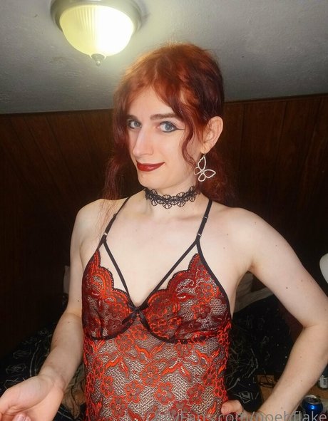 noehflake top star picture