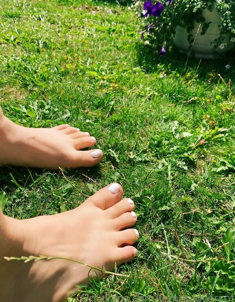 lemonloversof star art photo