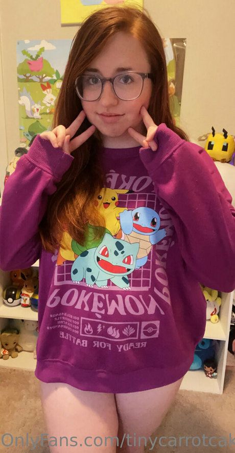 tinycarrotcake nice model img