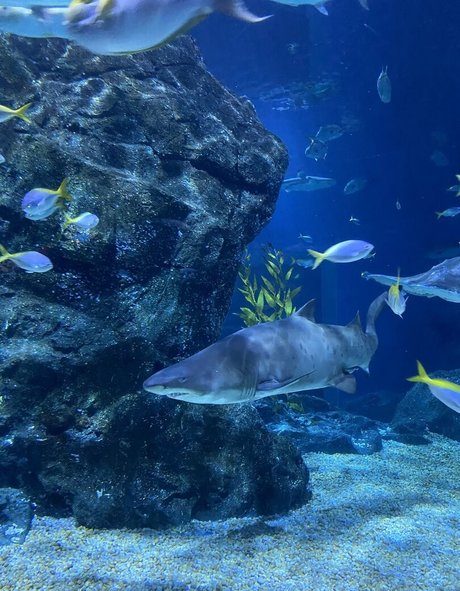 onyour bunny hd pornstar photos