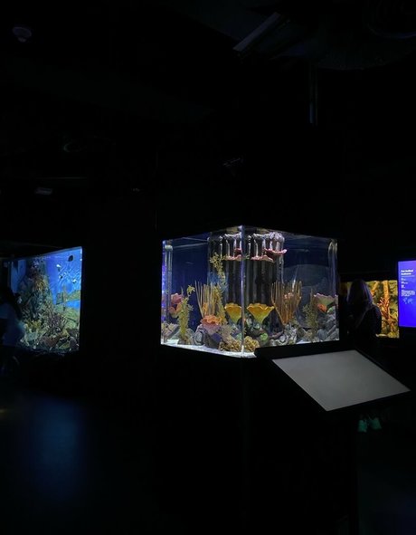 onyour bunny pornstar naked photo