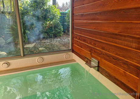 diaspicefree model img