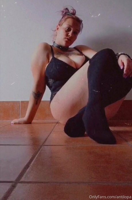 antilopa star art image