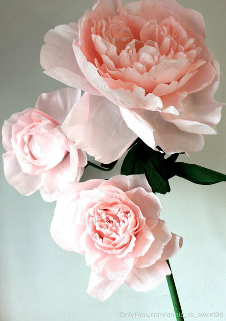 annie so sweet free pornstar image