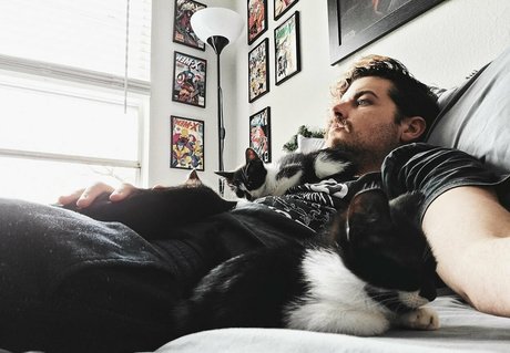 fosterkittendad star exclusive galleries