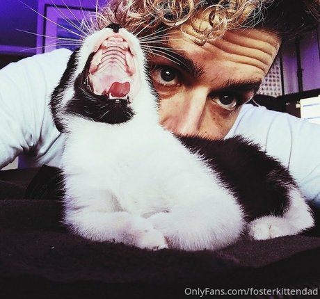 fosterkittendad hd actress image