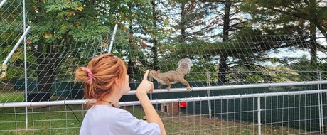 mikaylarainesfans nice star image