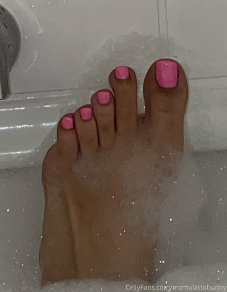 mzmulattobunny sex star picture