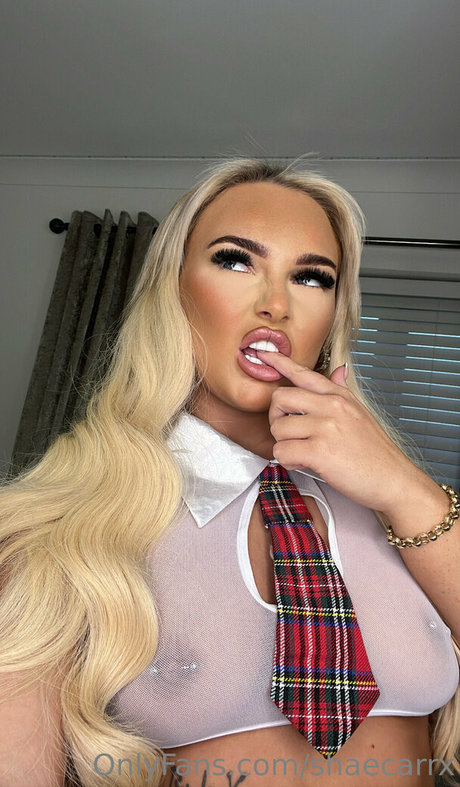 shaecarrx pretty pornstar photo