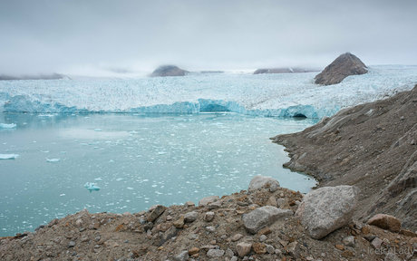 iceicelady star nice image