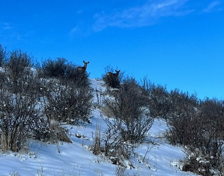 audreybelletv nudes pornstar photo