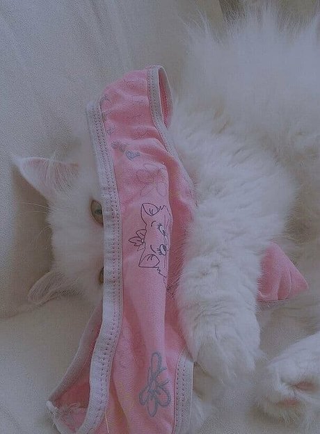 cutekatrin pornstar nudes gallery