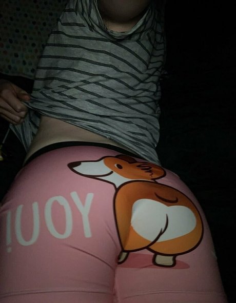 centauri shib perfect model photo