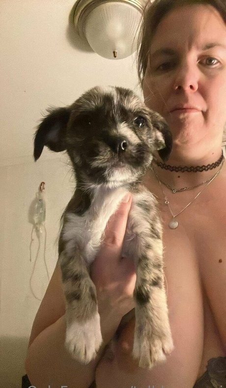 talldancermi star hd archive