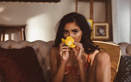 lissapolooza perfect pornstar pictures