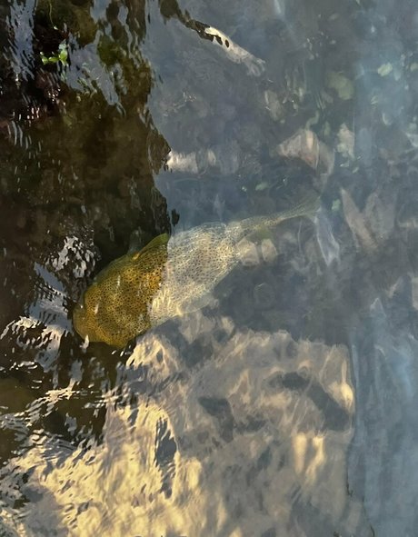 babyski mask pornstar sexy img