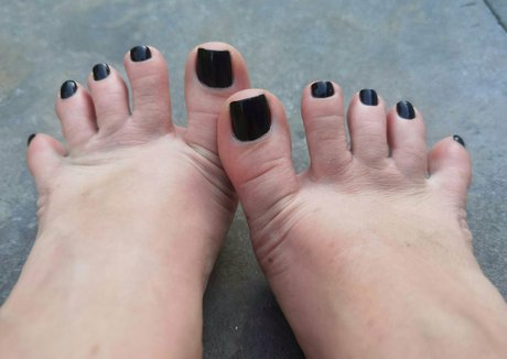 msdidikvip exclusive star archive