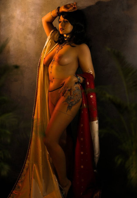 Senedy art star gallery