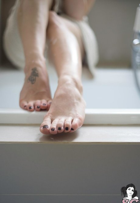 Zenit sg hd model photos