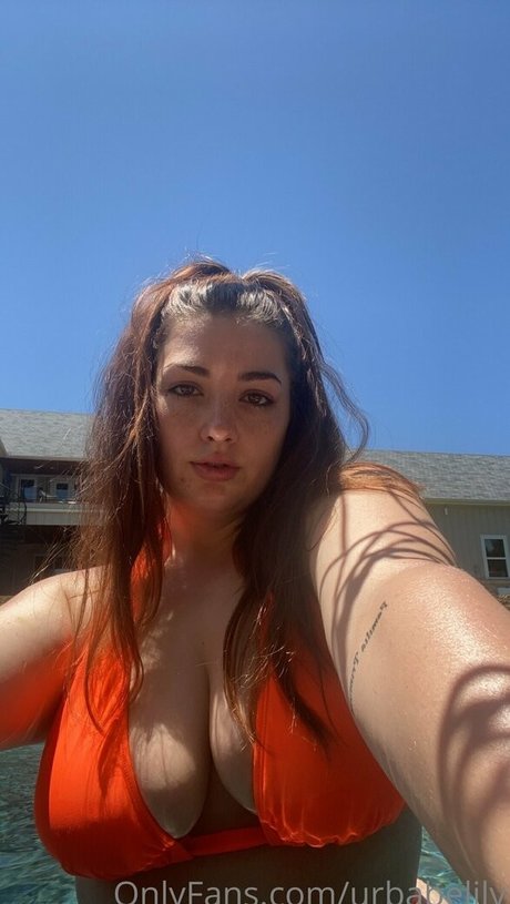 urbabelily star art picture