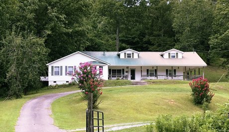 albuquerquepeachy pornographic star picture