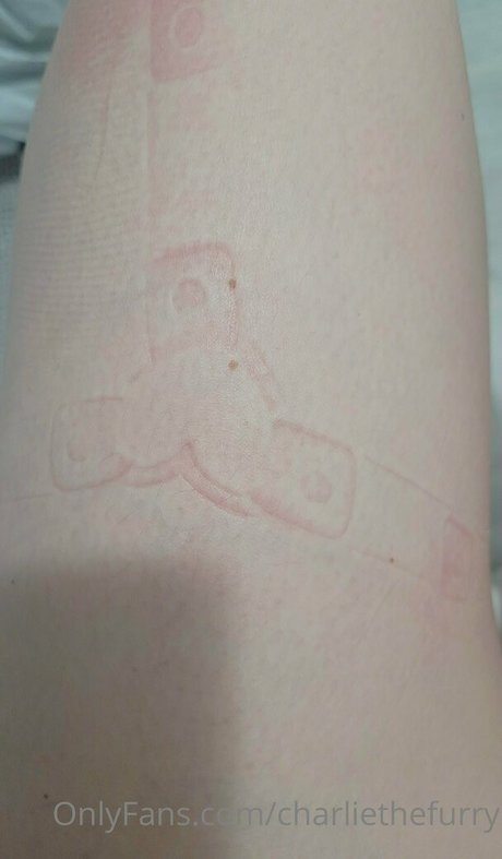 charliethefurry top model gallery