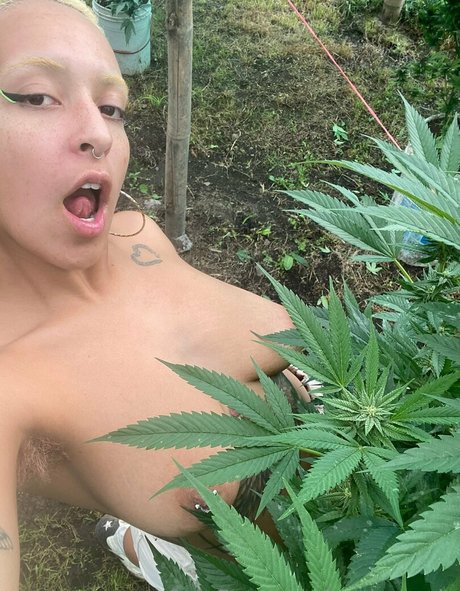 katdemonia exclusive pornstar picture