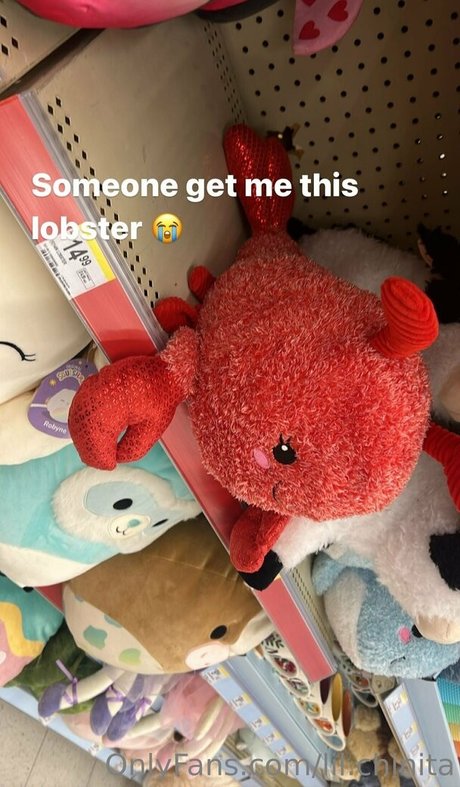 lil chinita perfect star img