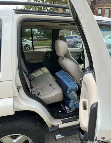 kdune pornographic model galleries