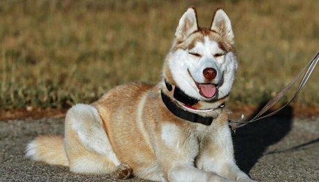 pech os nudes actress photos