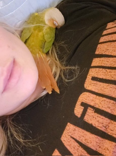 Asiri Ocean top pornstar gallery