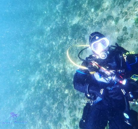 Asiri Ocean hot star picture