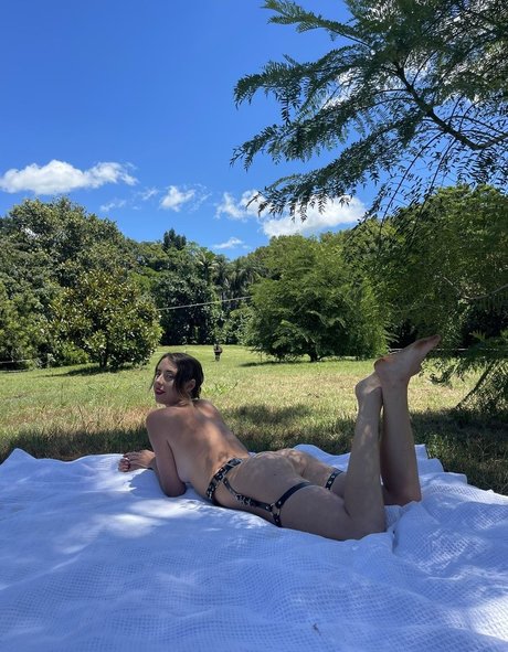 Seashark nice star pics