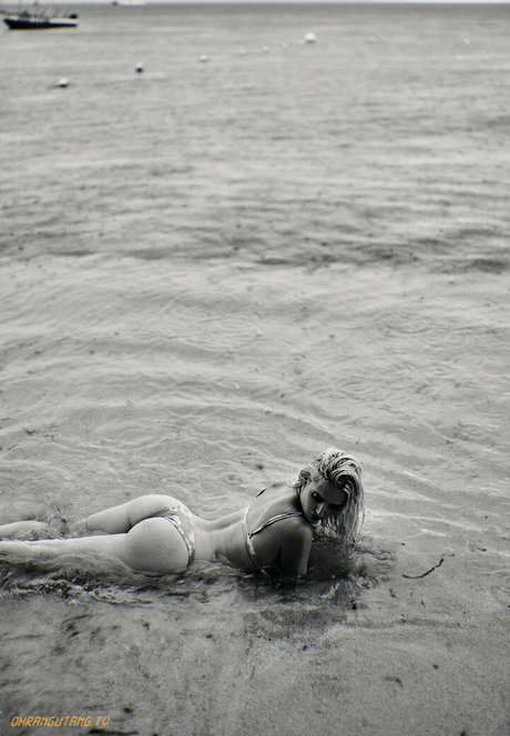 Ohrangutang pornstar adult pic