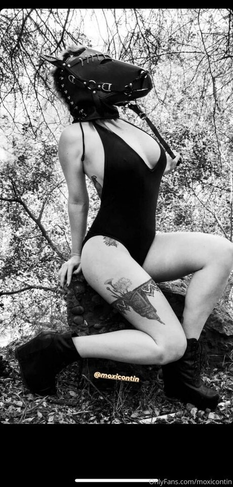 Moxicontin star top img