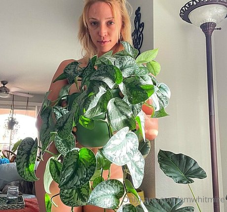 Emily Whitmire star pornographic gallery