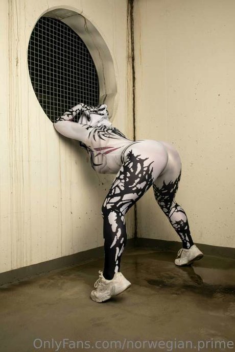 norwegian prime model high quality image