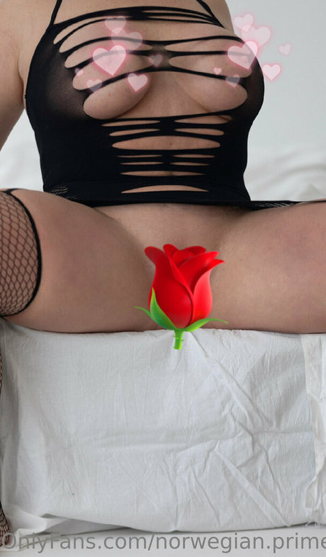 norwegian prime pornstar xxx pictures