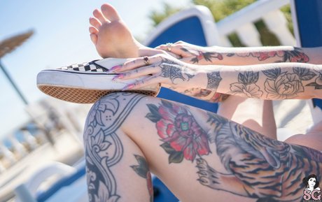 Aemelia Fox nude pornstar archive