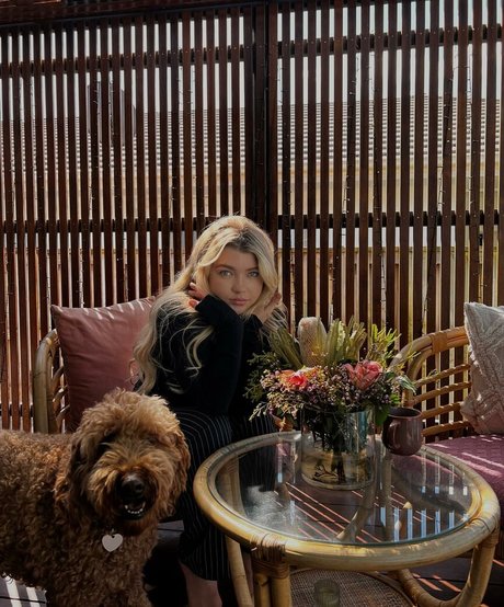 Mini Moo pretty star archive