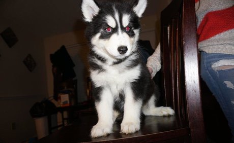 youlikewhatyousee star nude img