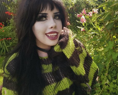 morguecat star art images