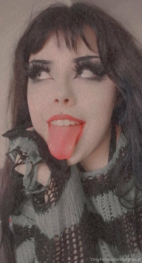 morguecat porn star photo