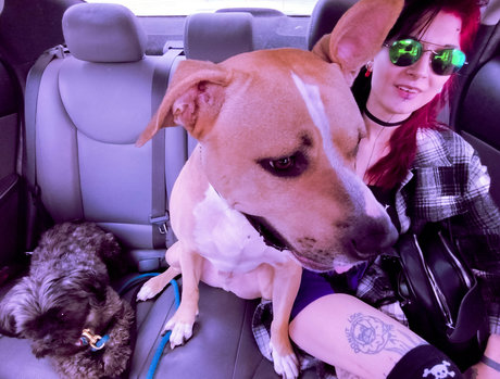 dariadoom star nude photo