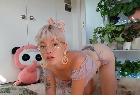 charlibella x free star nice pictures