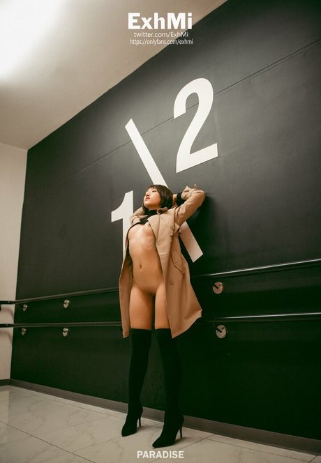 ExhMi model best photo