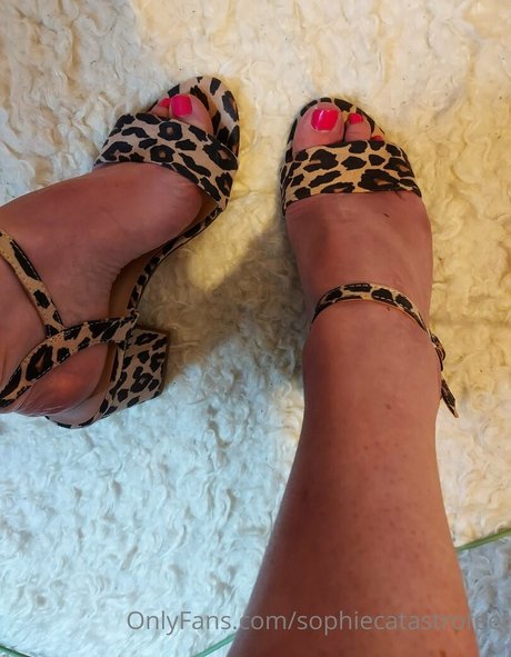 sophiecatastrofeet pornstar xxx archive